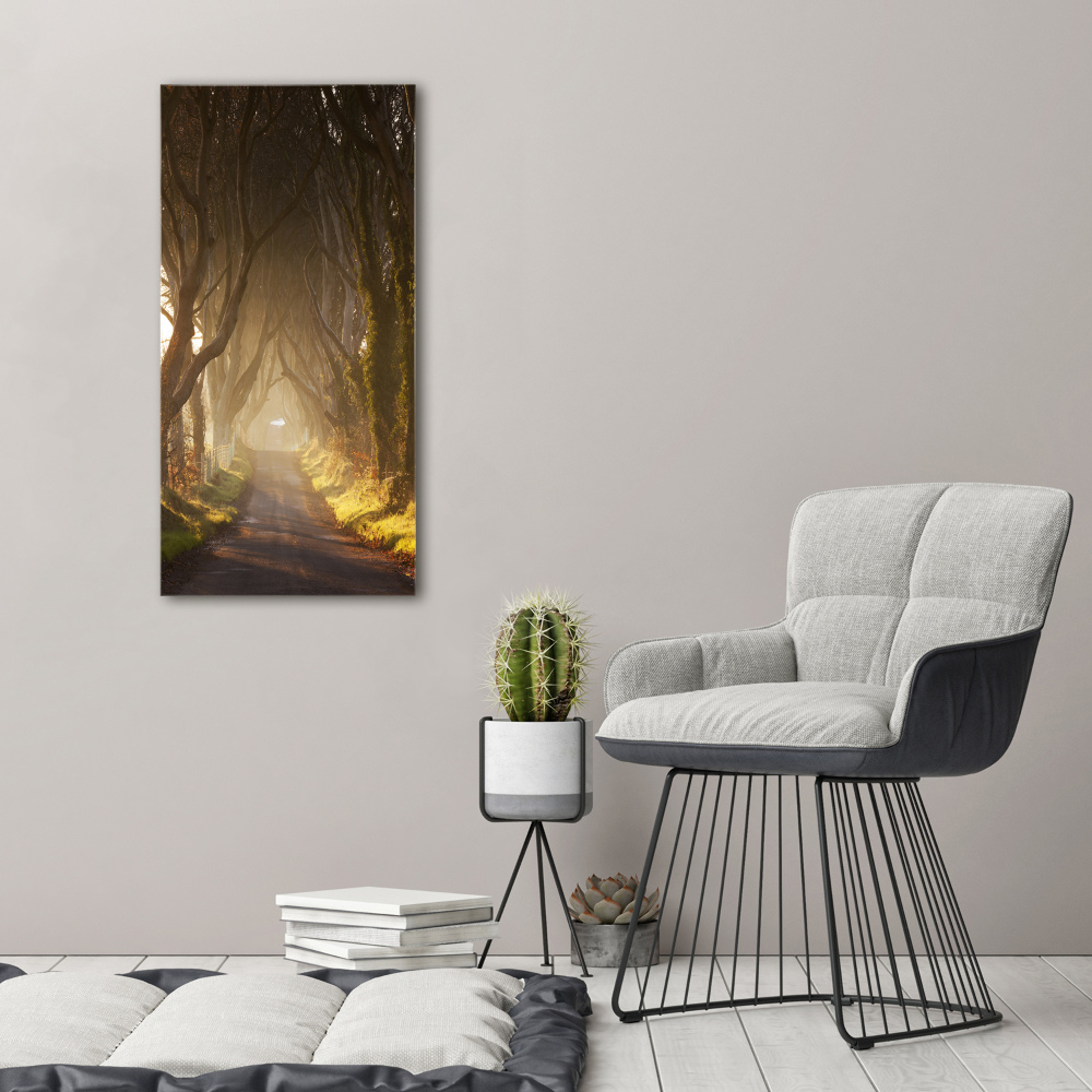 Large canvas wall art Path in the forest