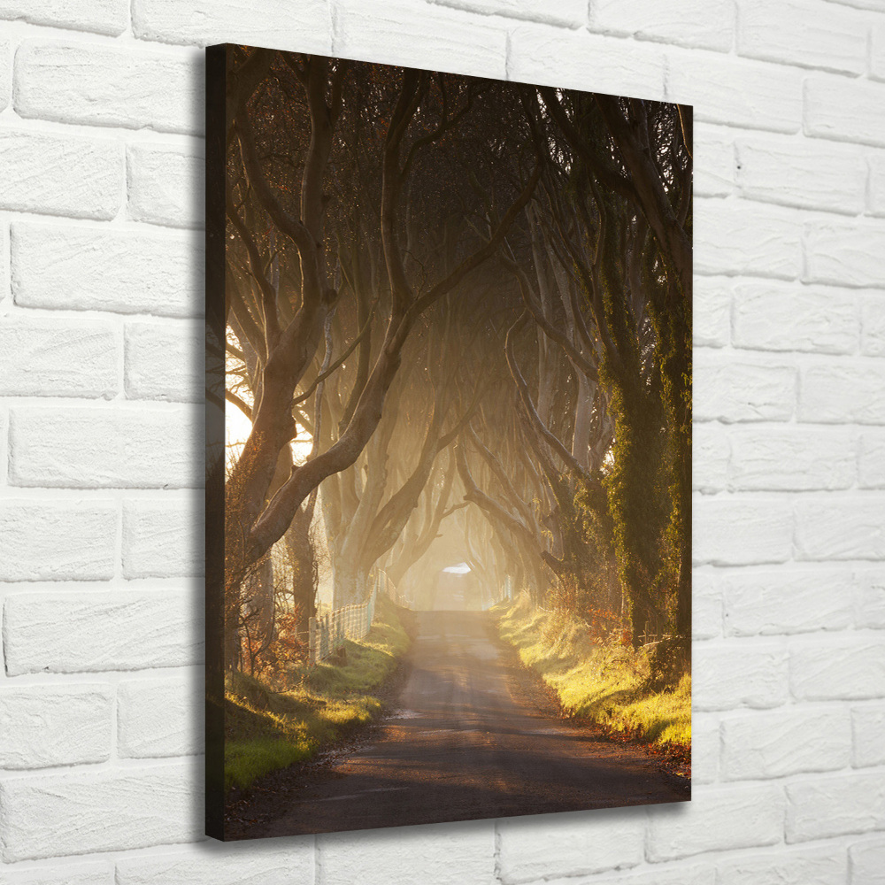 Large canvas wall art Path in the forest