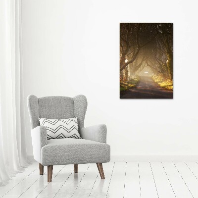 Large canvas wall art Path in the forest