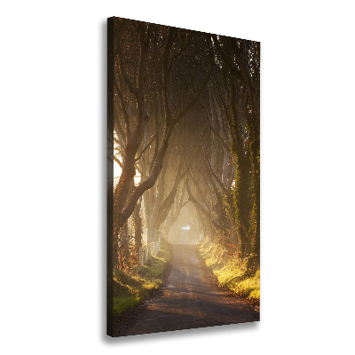 Large canvas wall art Path in the forest