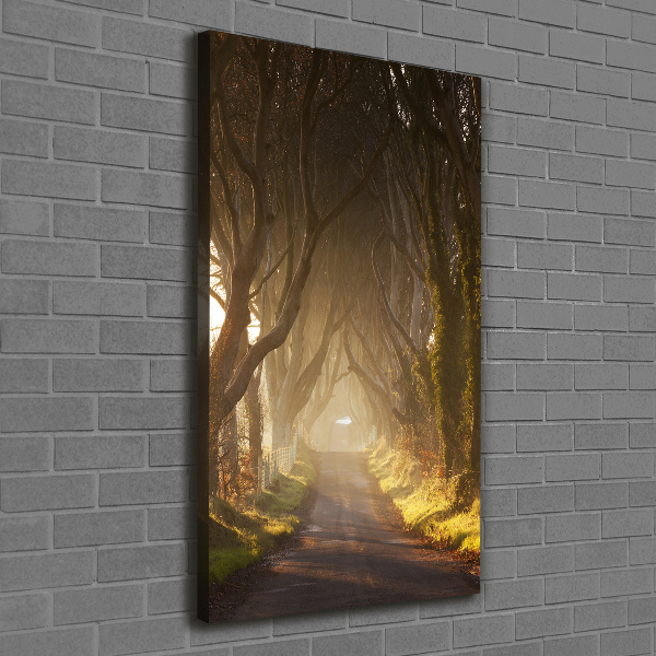 Large canvas wall art Path in the forest