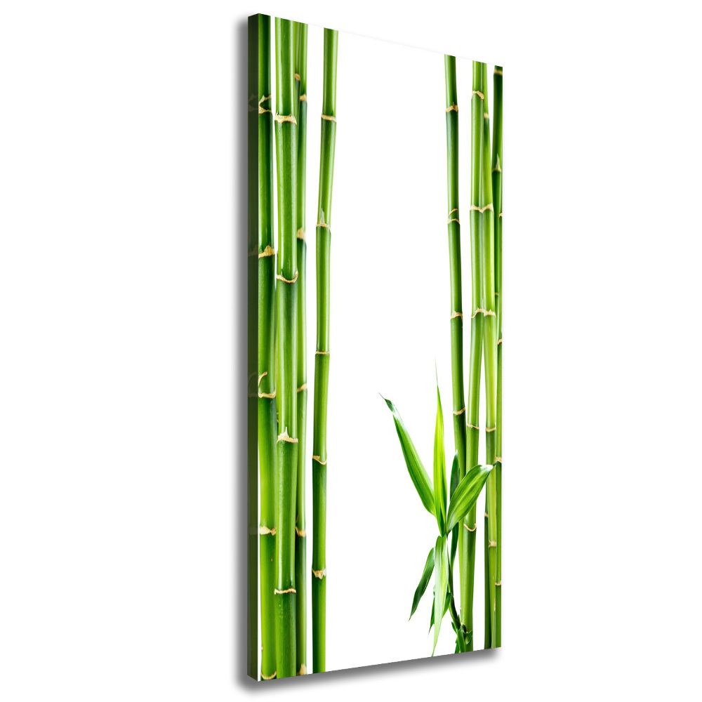 Canvas wall art Bamboo