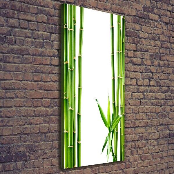 Canvas wall art Bamboo