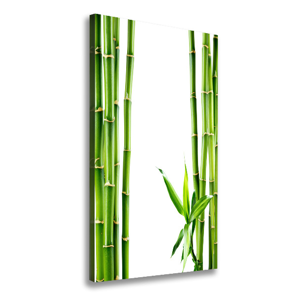 Canvas wall art Bamboo