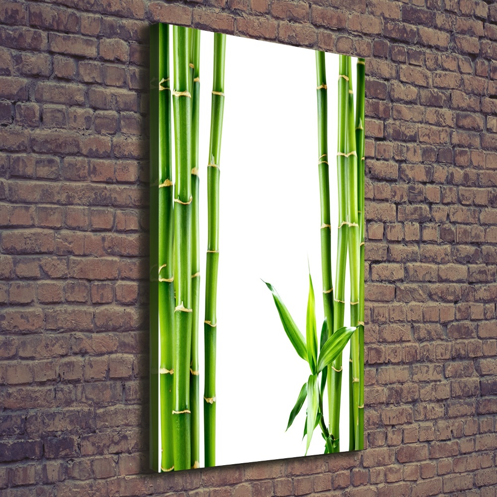 Canvas wall art Bamboo