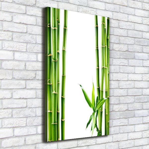 Canvas wall art Bamboo