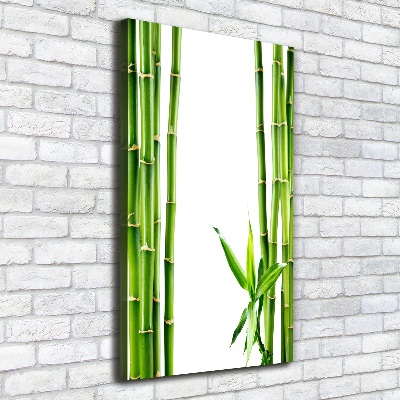 Canvas wall art Bamboo