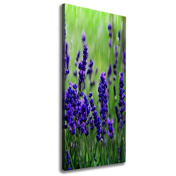 Canvas wall art Lavender field