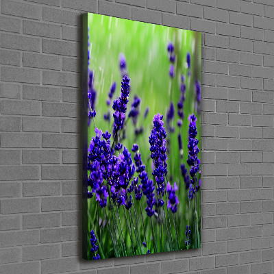 Canvas wall art Lavender field