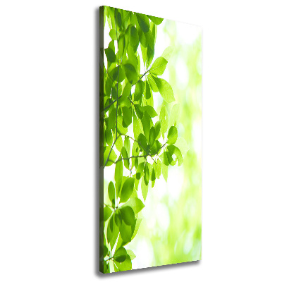 Canvas wall art Green leaves