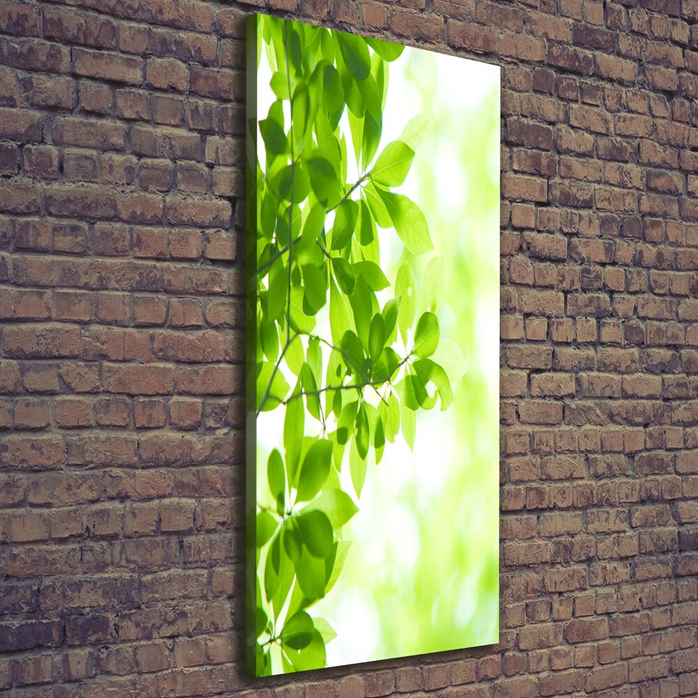 Canvas wall art Green leaves