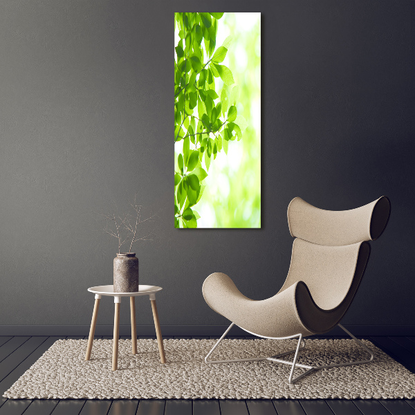 Canvas wall art Green leaves