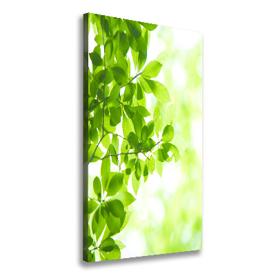 Canvas wall art Green leaves