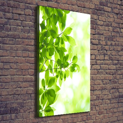 Canvas wall art Green leaves