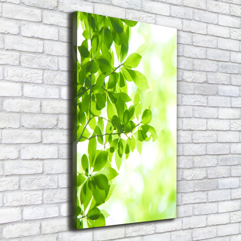 Canvas wall art Green leaves