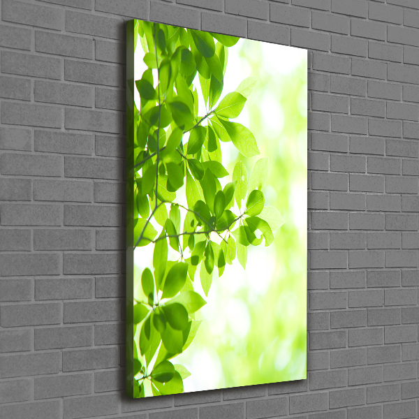 Canvas wall art Green leaves