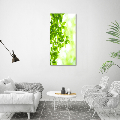 Canvas wall art Green leaves