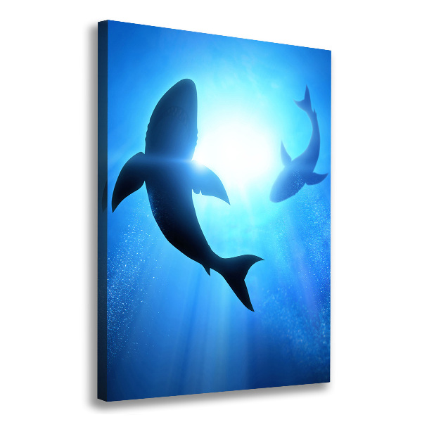 Canvas print Silhouettes of sharks