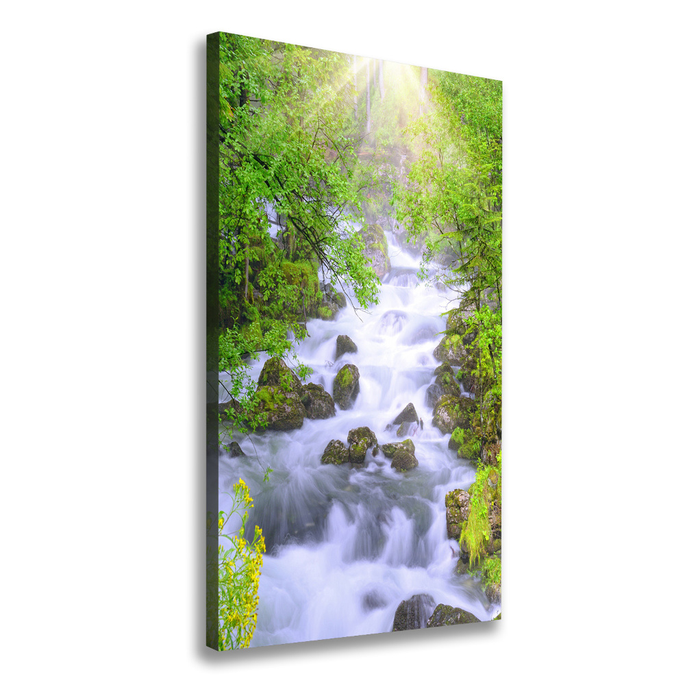 Wall art canvas large Mountain stream