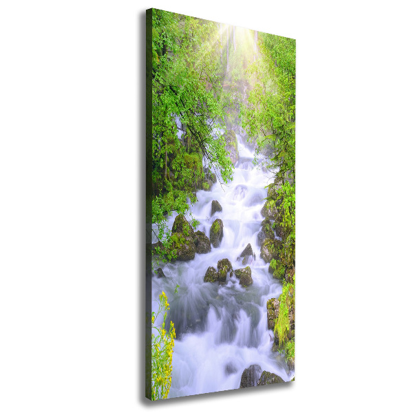 Wall art canvas large Mountain stream