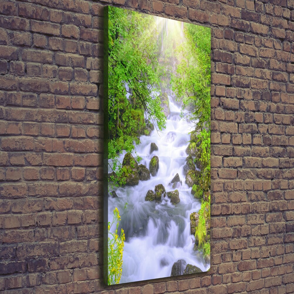 Wall art canvas large Mountain stream