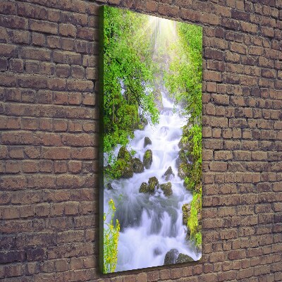 Wall art canvas large Mountain stream