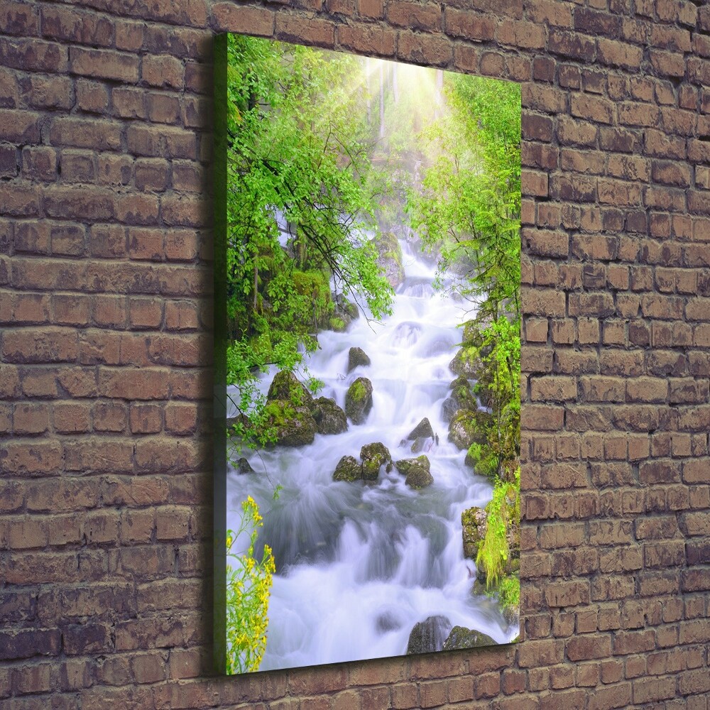 Wall art canvas large Mountain stream