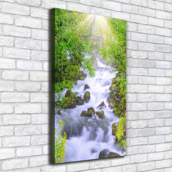 Wall art canvas large Mountain stream