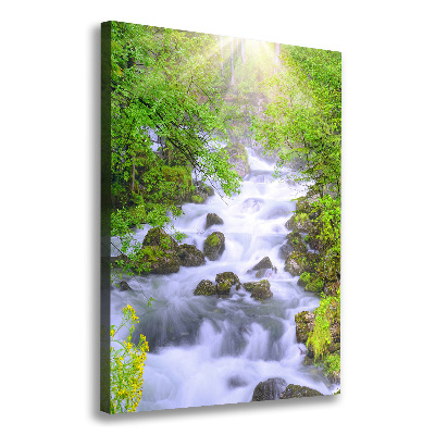 Wall art canvas large Mountain stream