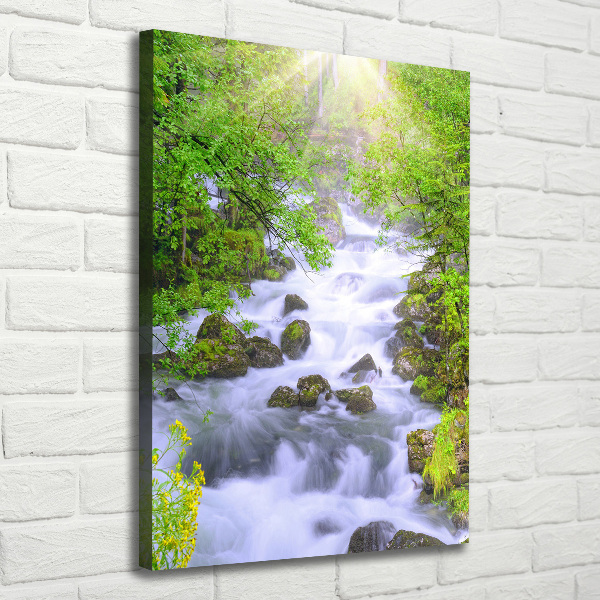 Wall art canvas large Mountain stream