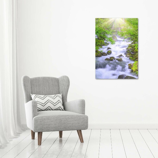 Wall art canvas large Mountain stream