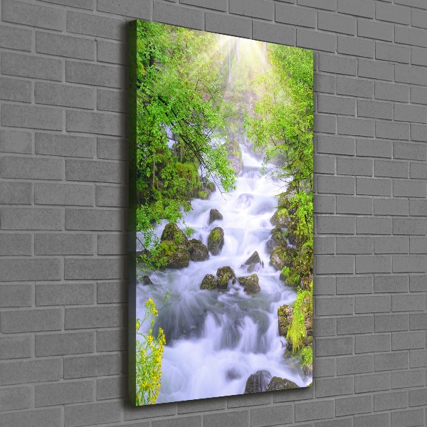 Wall art canvas large Mountain stream