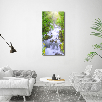 Wall art canvas large Mountain stream