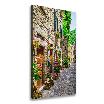 Canvas wall art Charming street