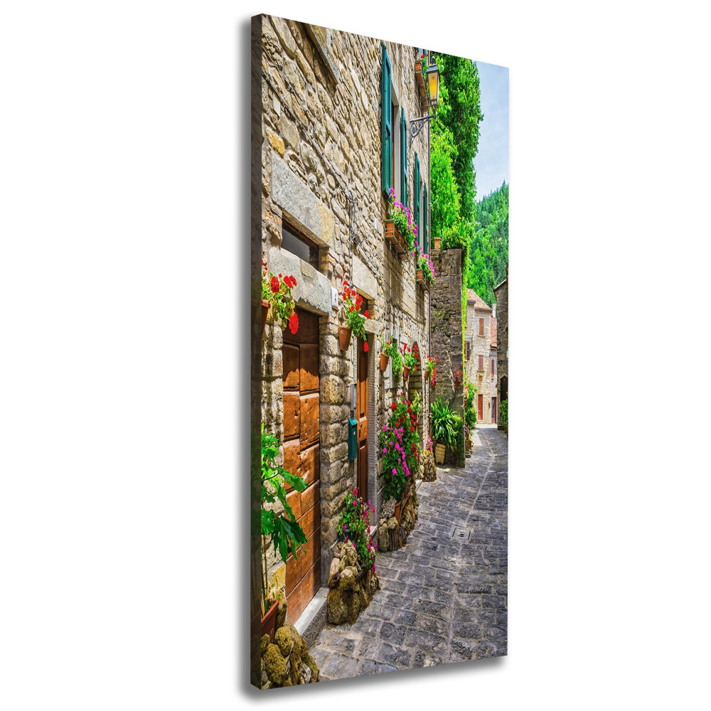 Canvas wall art Charming street