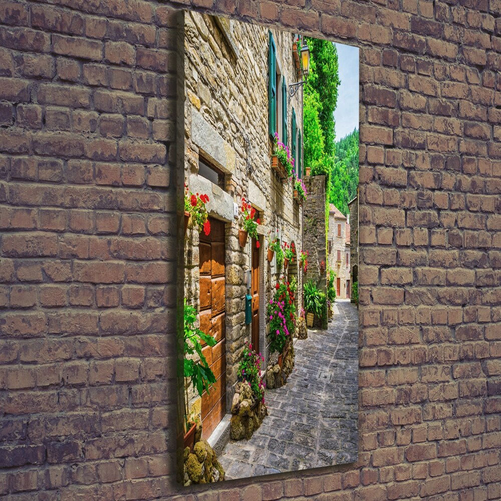 Canvas wall art Charming street