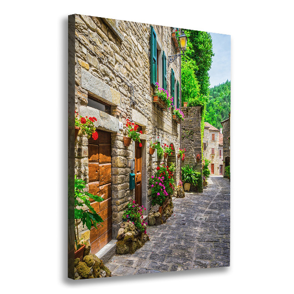 Canvas wall art Charming street