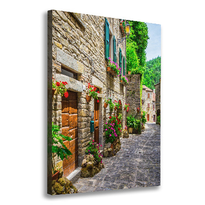 Canvas wall art Charming street