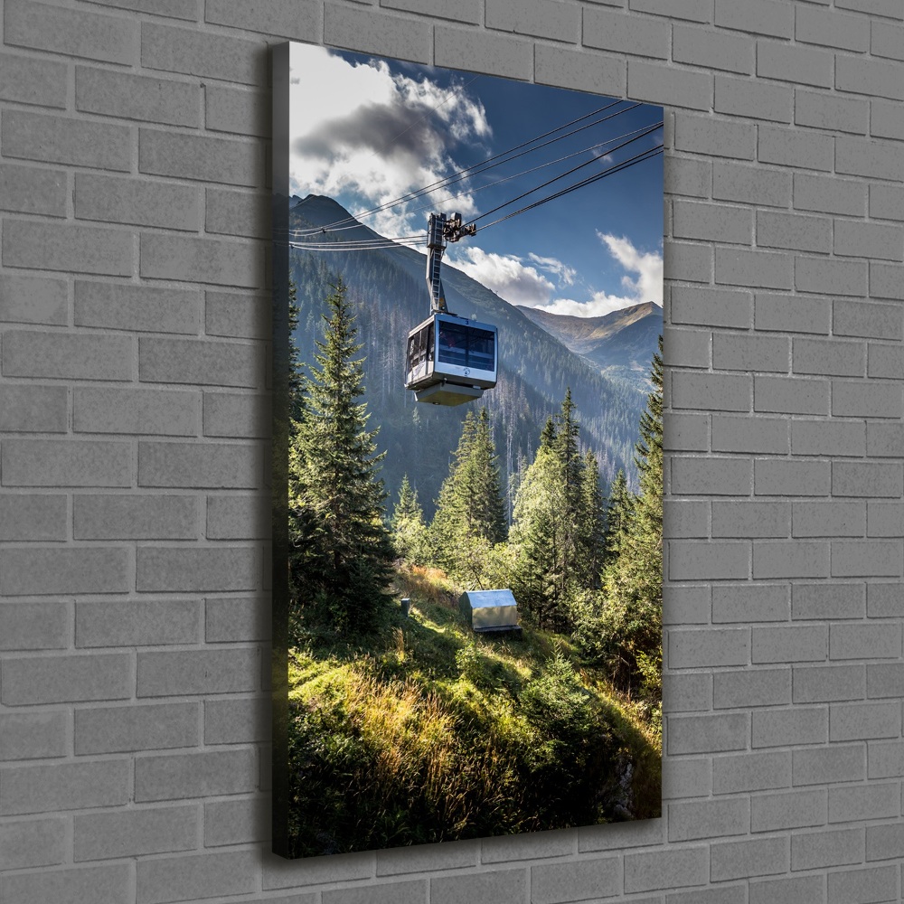 Canvas wall art Roller coaster