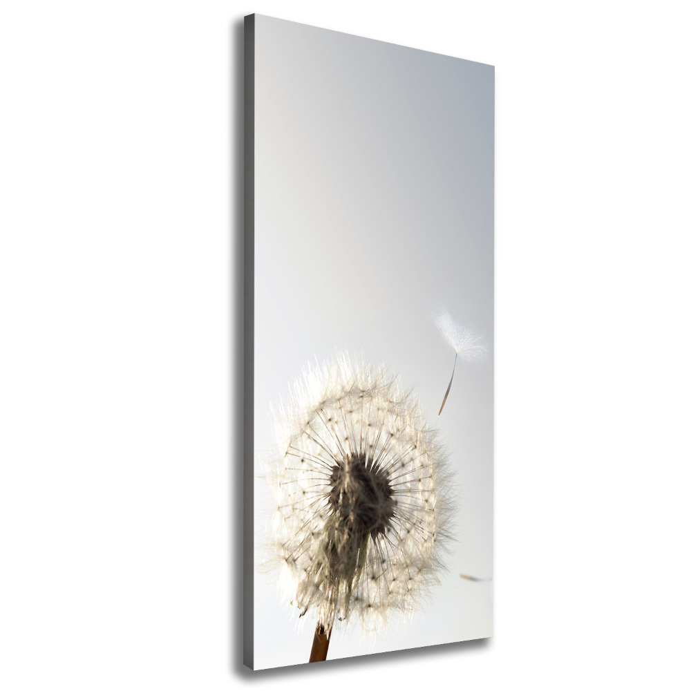 Large canvas wall art Dandelion