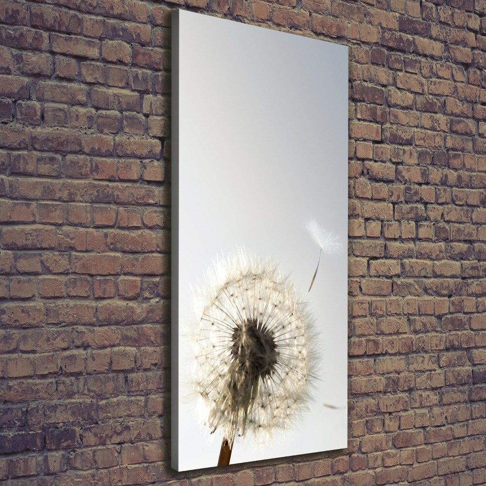 Large canvas wall art Dandelion