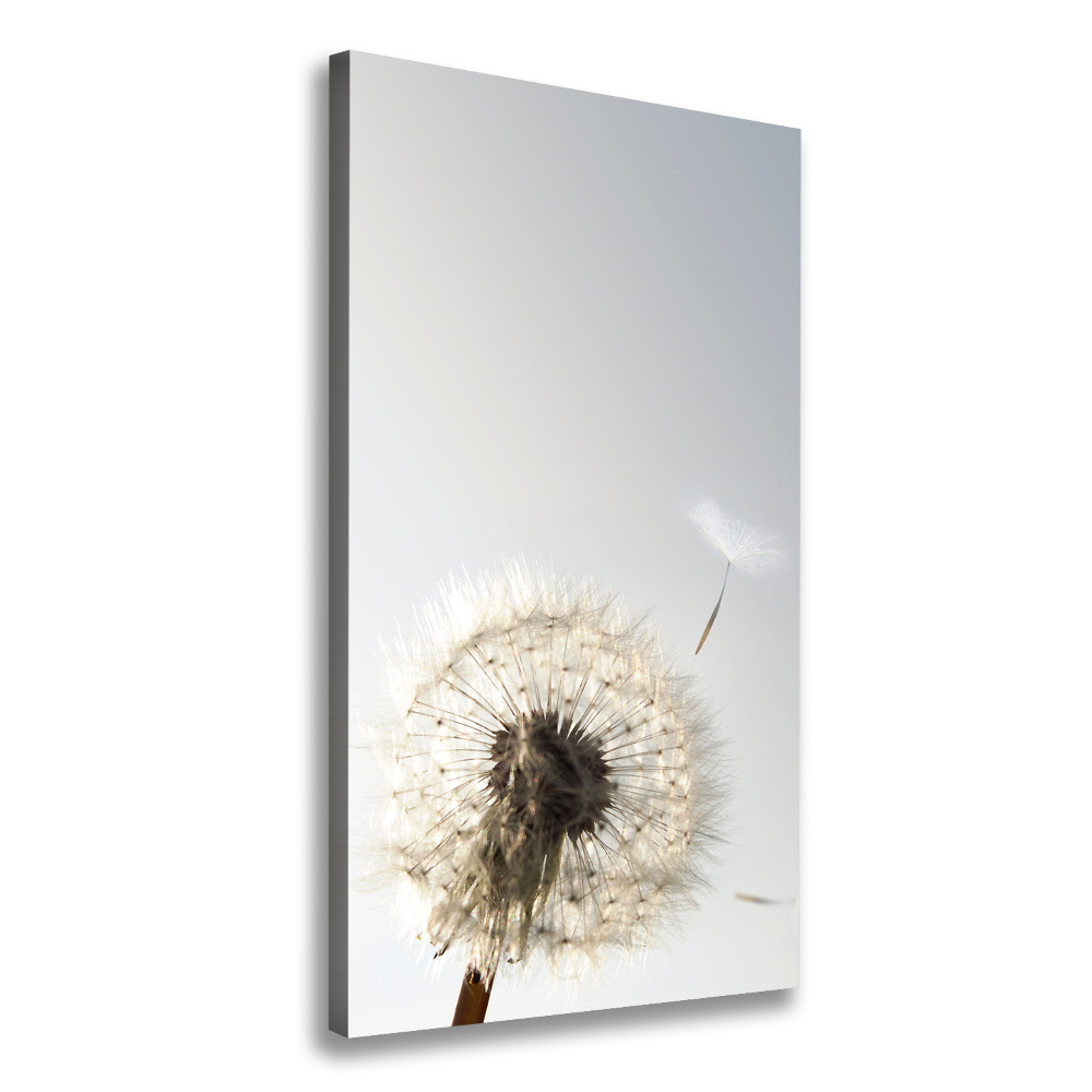 Large canvas wall art Dandelion