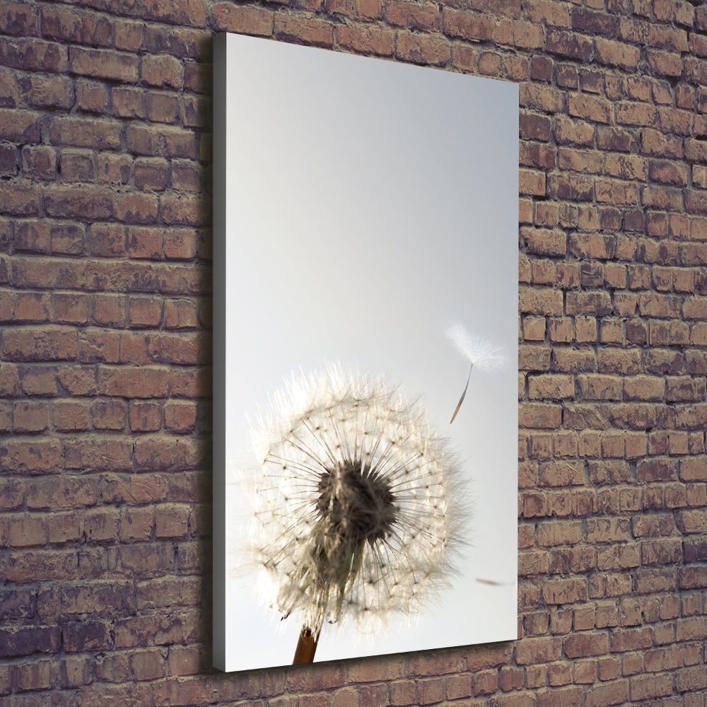 Large canvas wall art Dandelion