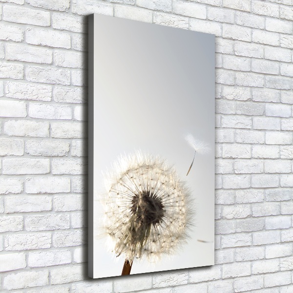 Large canvas wall art Dandelion