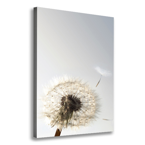 Large canvas wall art Dandelion