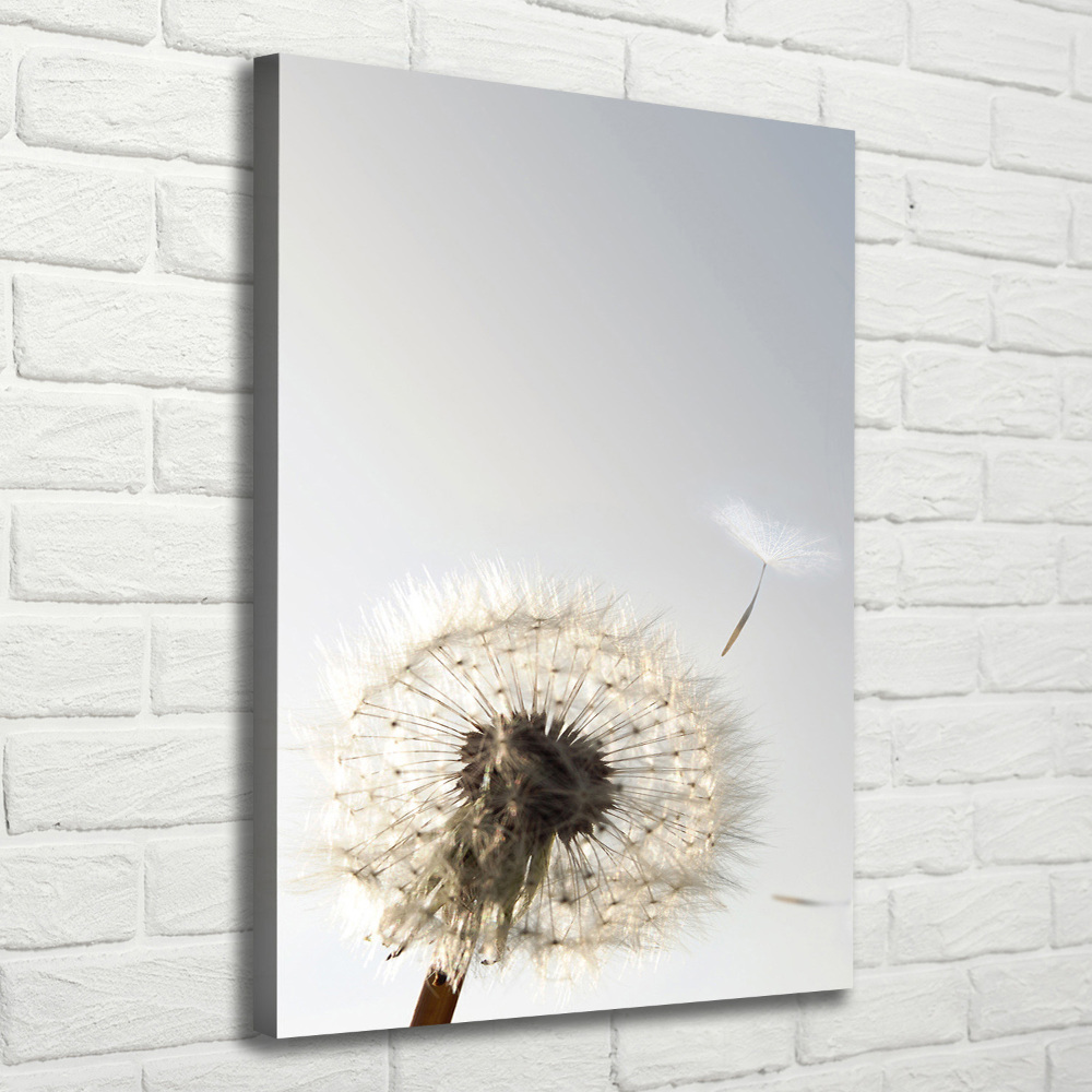 Large canvas wall art Dandelion