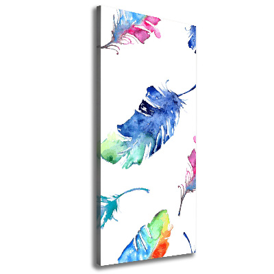 Canvas print Colorful feathers