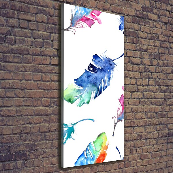 Canvas print Colorful feathers