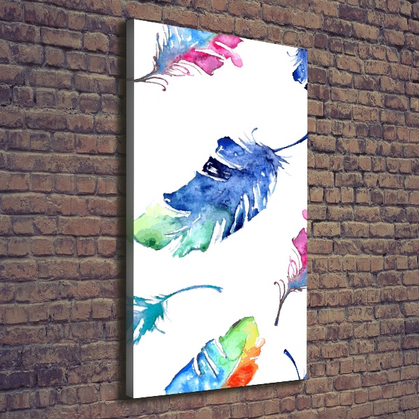 Canvas print Colorful feathers