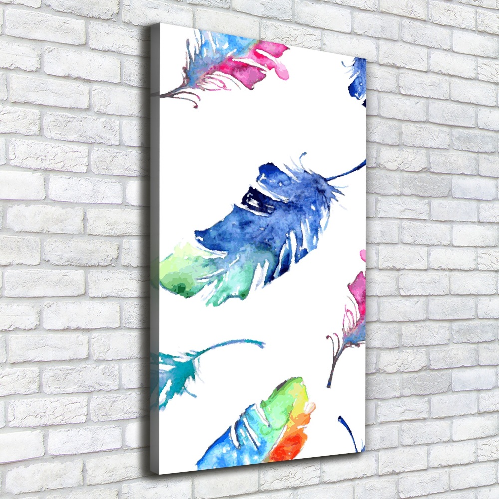 Canvas print Colorful feathers